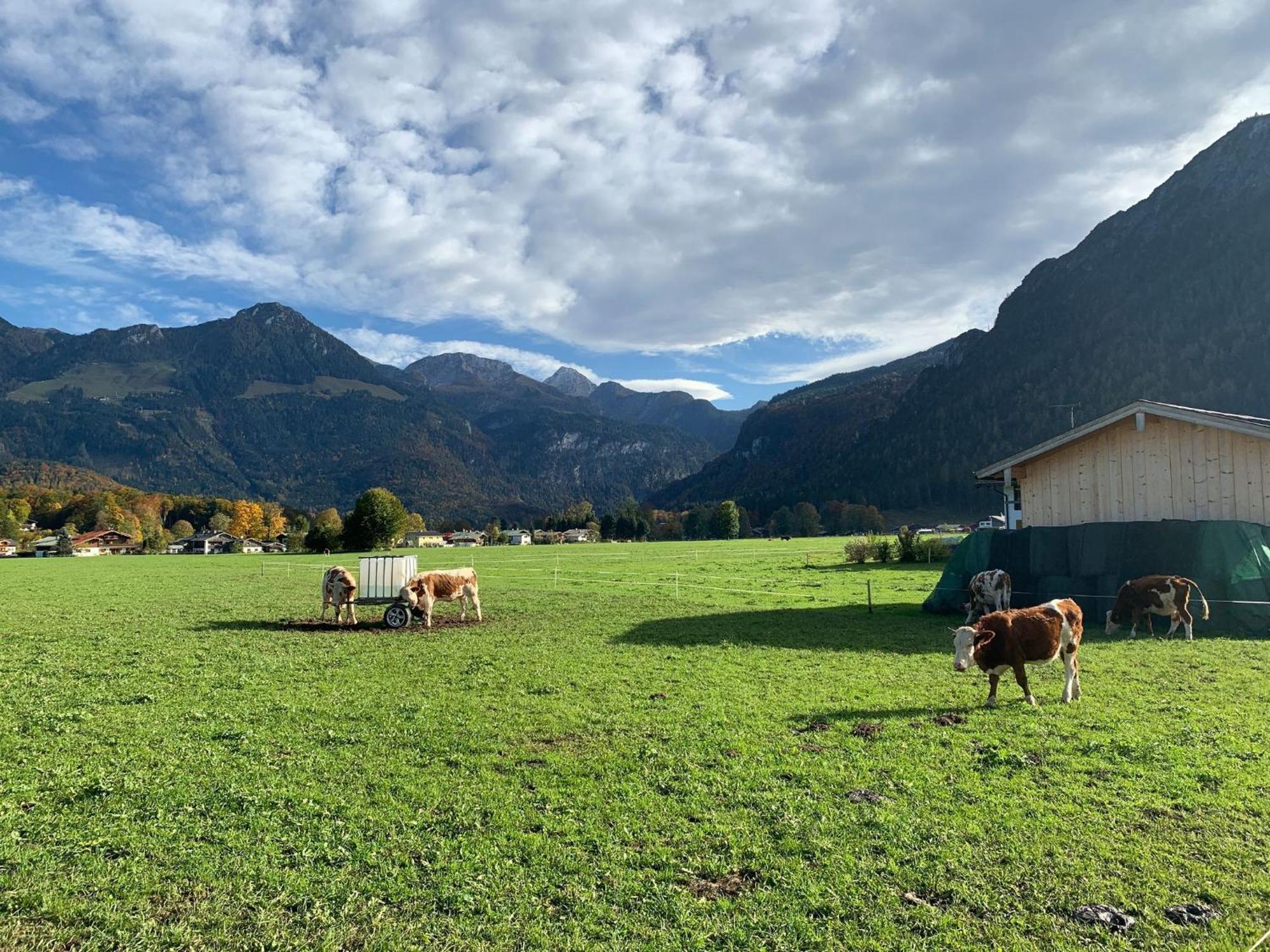 Ferienwohnung Hochkalterblick Schönau am Königssee Exteriör bild
